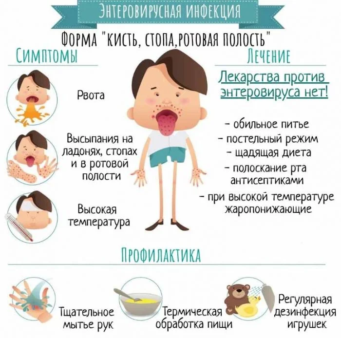 Профилактика энтеровирусной инфекции