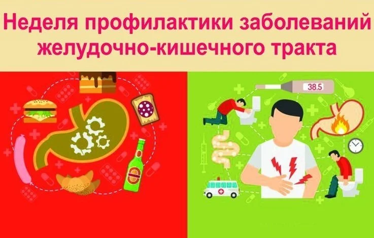 С 24 по 30 ноября в России объявлена неделя профилактики заболеваний органов желудочно-кишечного тракта