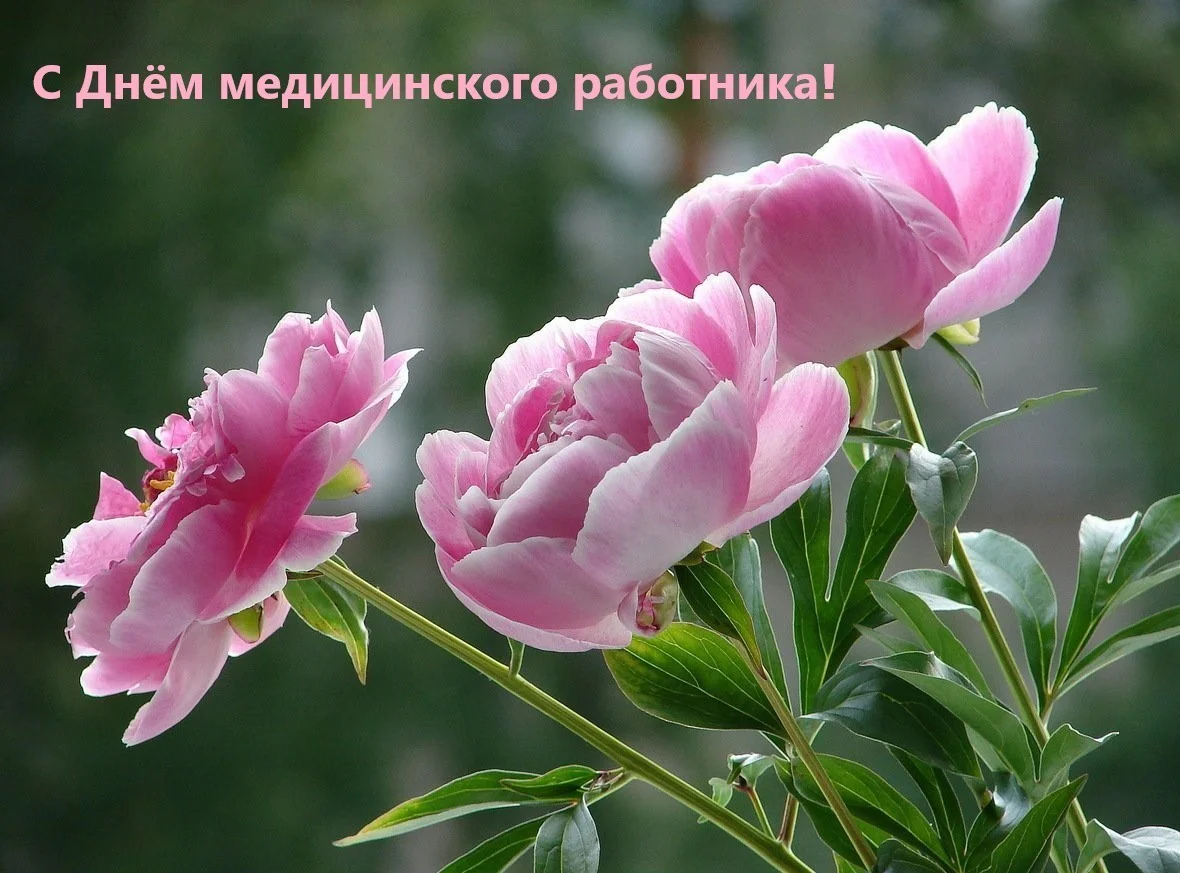 Главный врач Городской больницы № 4 поздравил коллег с Днем медицинского работника