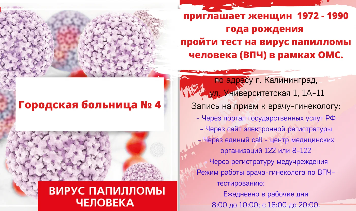 Без названия, копия (1).png