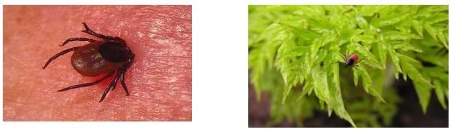 1.JPG