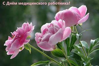 Главный врач Городской больницы № 4 поздравил коллег с Днем медицинского работника