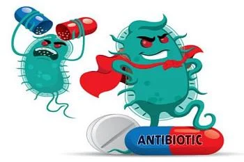 Устойчивость к антибиотикам