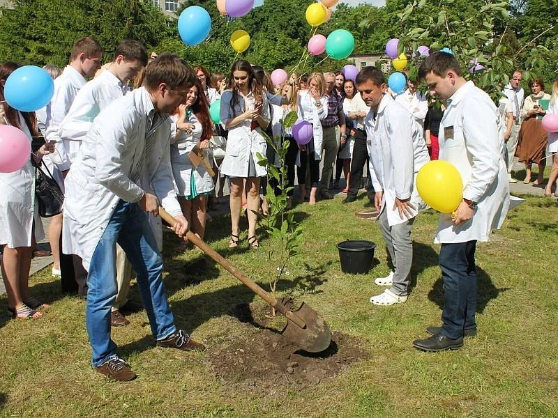 В честь последнего звонка студенты мединститута БФУ им. И. Канта посадили магнолию В честь последнего звонка студенты мединститута БФУ им. И. Канта посадили магнолию