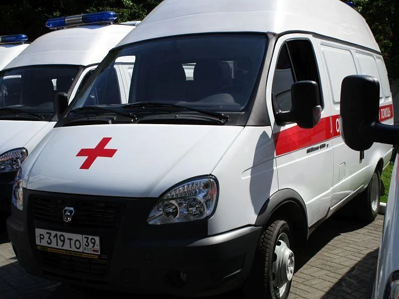 В Калининградской области идет снижение по заболеваемости и смертности от сердечно-сосудистых заболеваний В Калининградской области идет снижение по заболеваемости и смертности от сердечно-сосудистых заболеваний