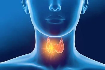 С 19 по 25 мая в России проводится неделя профилактики заболеваний эндокринной системы