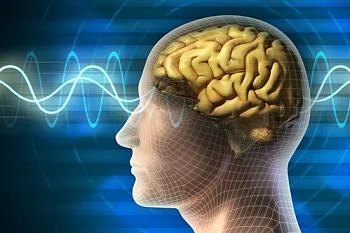 С 21 по 27 июля - неделя сохранения здоровья головного мозга 