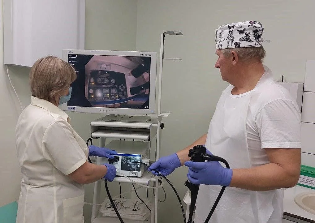 За четыре месяца на новом эндоскопе в поликлинике Пионерского проведено около четырехсот исследований