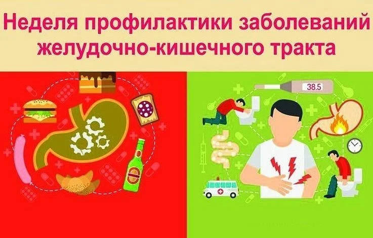 С 24 по 30 ноября в России объявлена неделя профилактики заболеваний органов желудочно-кишечного тракта