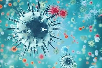 Как бактерии становятся устойчивыми к антибиотикам Как бактерии становятся устойчивыми к антибиотикам