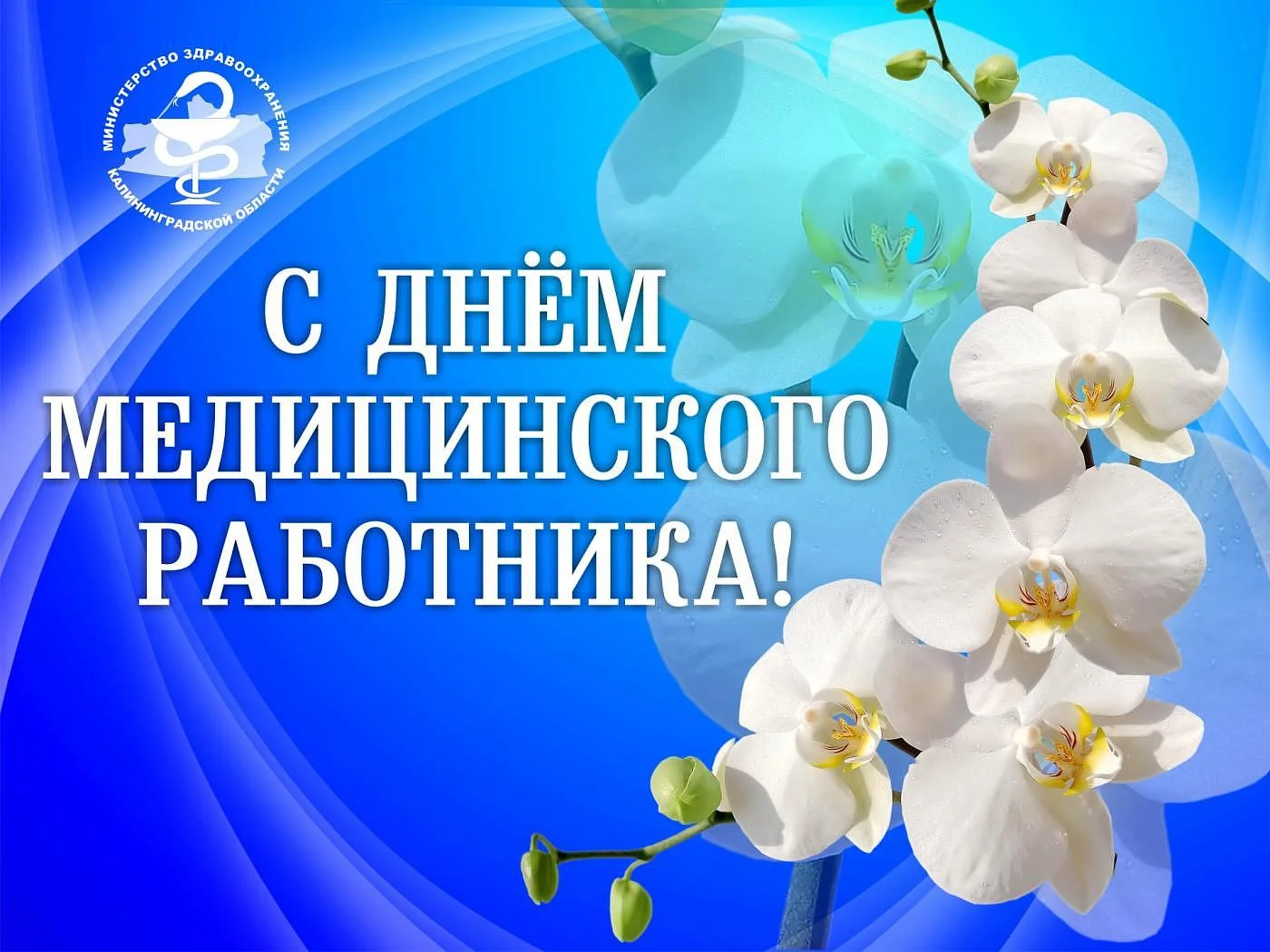 Министр здравоохранения поздравил коллег с Днем медицинского работника Министр здравоохранения поздравил коллег с Днем медицинского работника