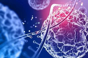 Пять простых привычек для сильного иммунитета от врачей и экспертов «Здорового поколения»