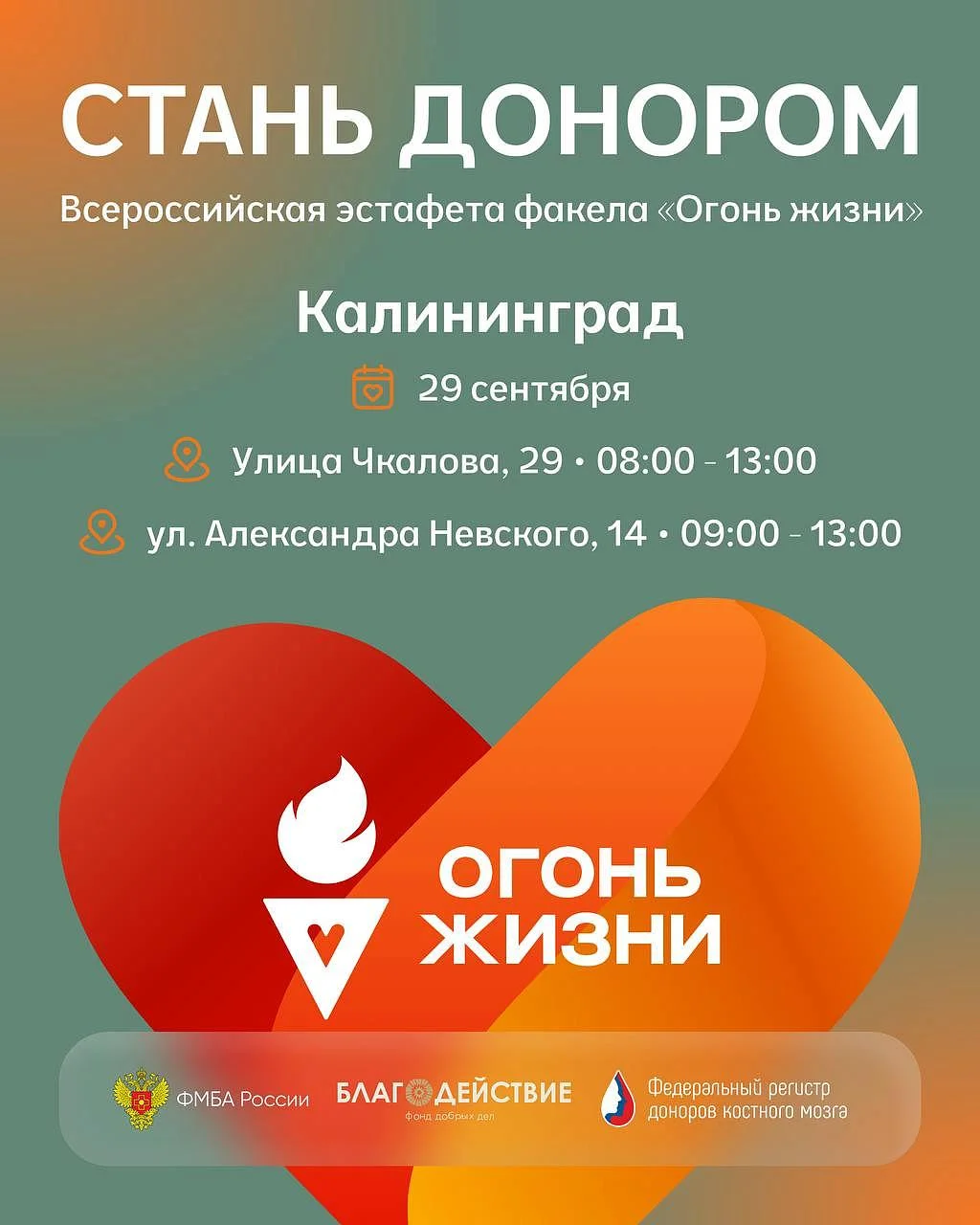 Всероссийская эстафета факела «Огонь жизни» пройдет в Калининграде Всероссийская эстафета факела «Огонь жизни» пройдет в Калининграде