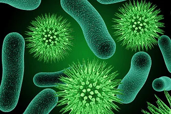 Прием пациентов с ОРВИ