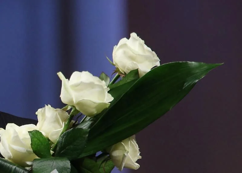 Добрые слова врачам Добрые слова врачам