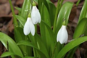 Как подразделения четвертой горбольницы будут работать до конца текущей недели