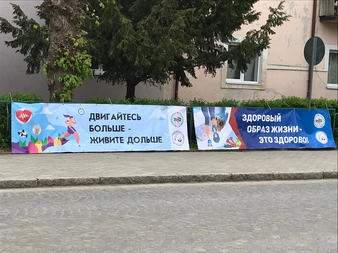 В Светлогорске пройдет «Фестиваль здорового образа жизни»