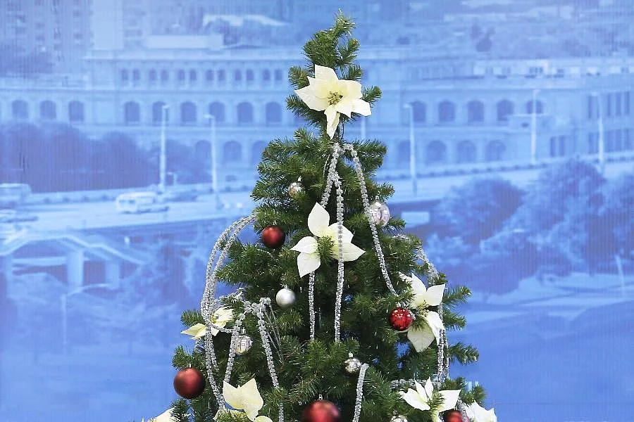 С Новым годом! С Новым годом!